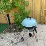 Magnifique Proche De La *